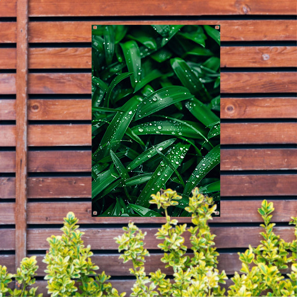 Close-up van dauwdruppels op groene bladeren tuinposter