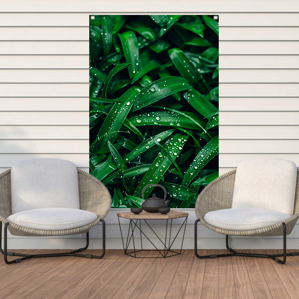 Close-up van dauwdruppels op groene bladeren tuinposter