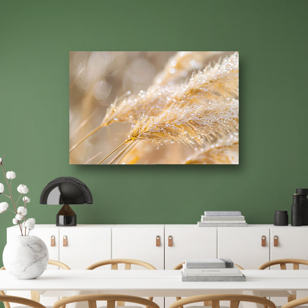 Dauw bedekte tarwearen in ochtendlicht canvas
