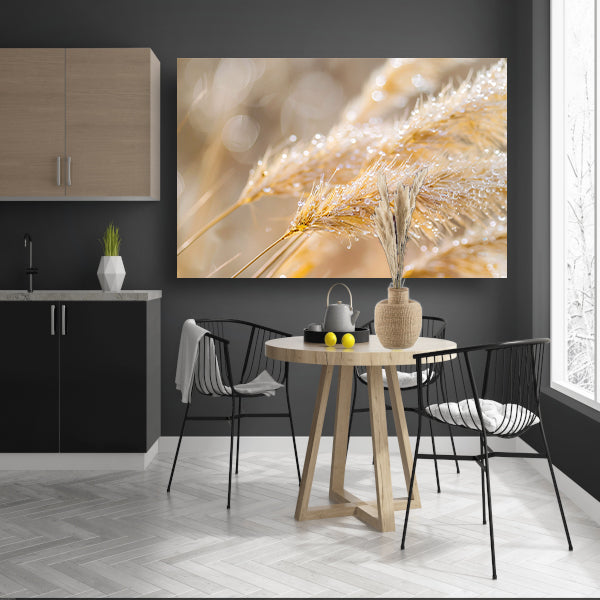 Dauw bedekte tarwearen in ochtendlicht canvas