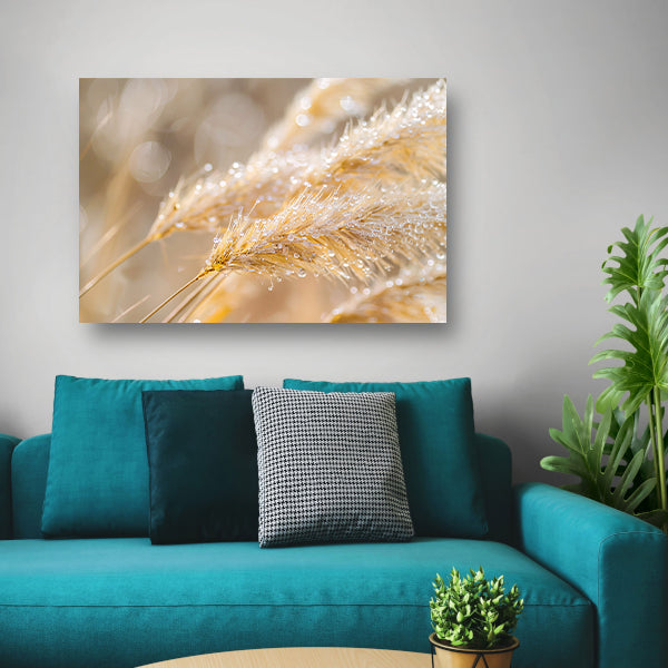 Dauw bedekte tarwearen in ochtendlicht canvas