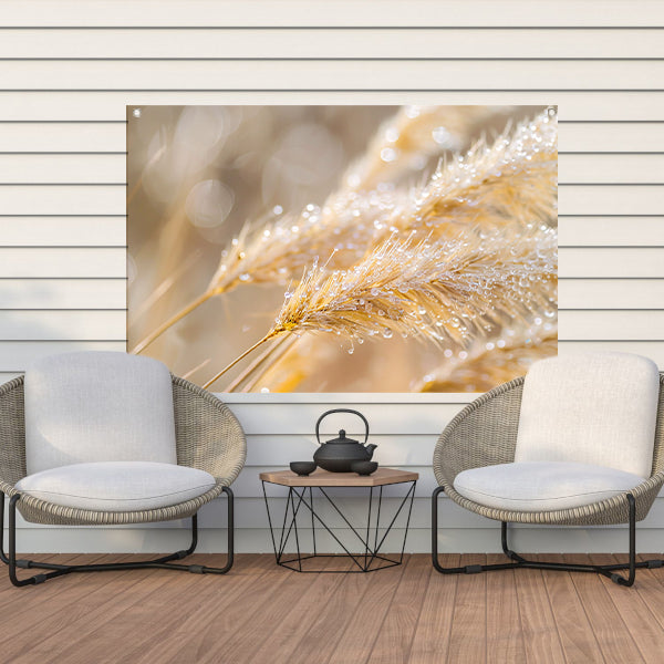 Dauw bedekte tarwearen in ochtendlicht tuinposter