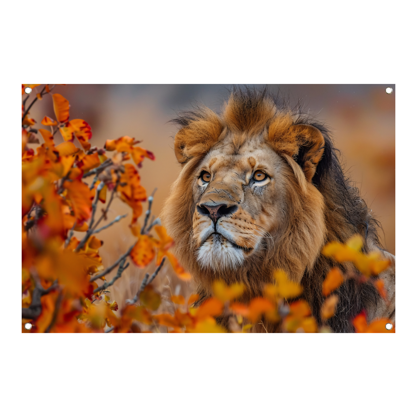 Leeuw in Herfstbladeren - Natuurs Koningschap tuinposter