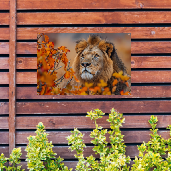 Leeuw in Herfstbladeren - Natuurs Koningschap tuinposter