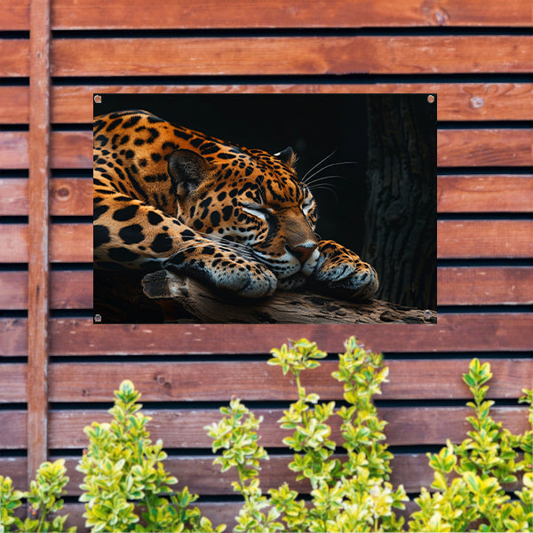 Slapende jaguar op een boomtak tuinposter