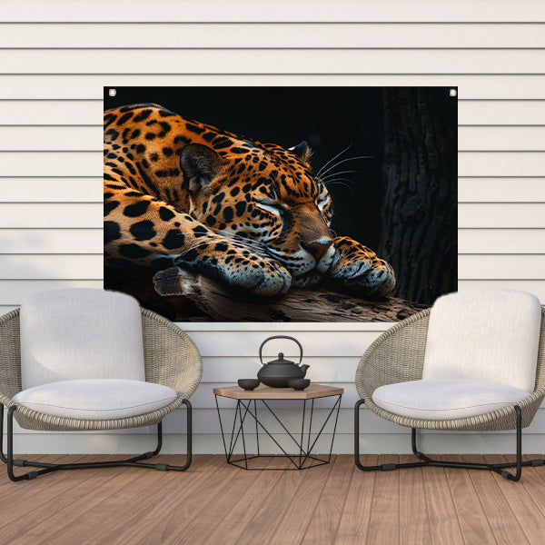 Slapende jaguar op een boomtak tuinposter