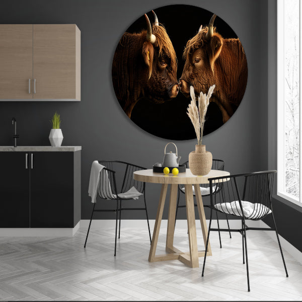 Twee hooglanders neus aan neus forex muurcirkel