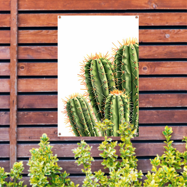 Hyperrealistische Print van Groene Cactussen tuinposter