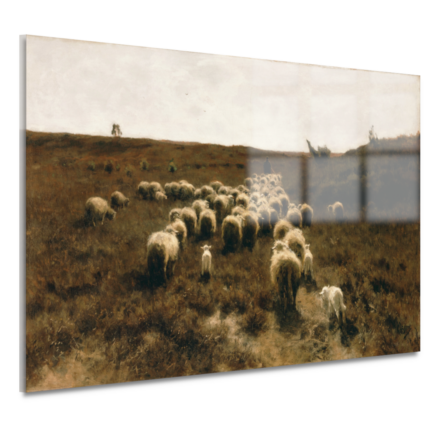 De terugkeer van de kudde, Laren - Anton Mauve acrylglas