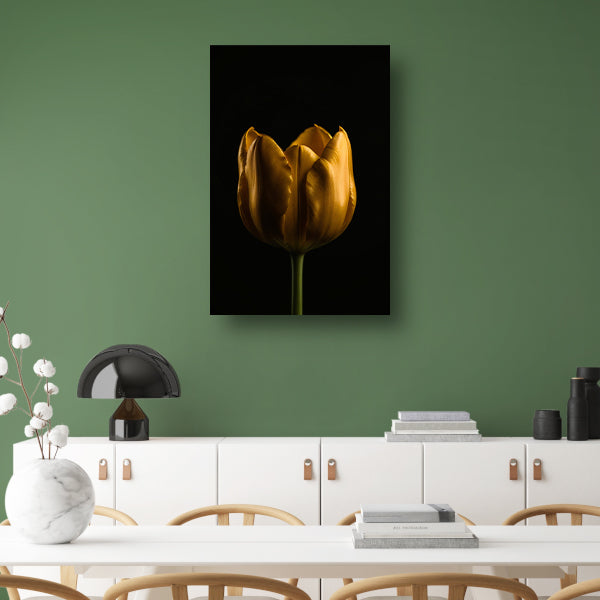 Elegante Gouden Tulp tegen Diepzwarte Achtergrond canvas