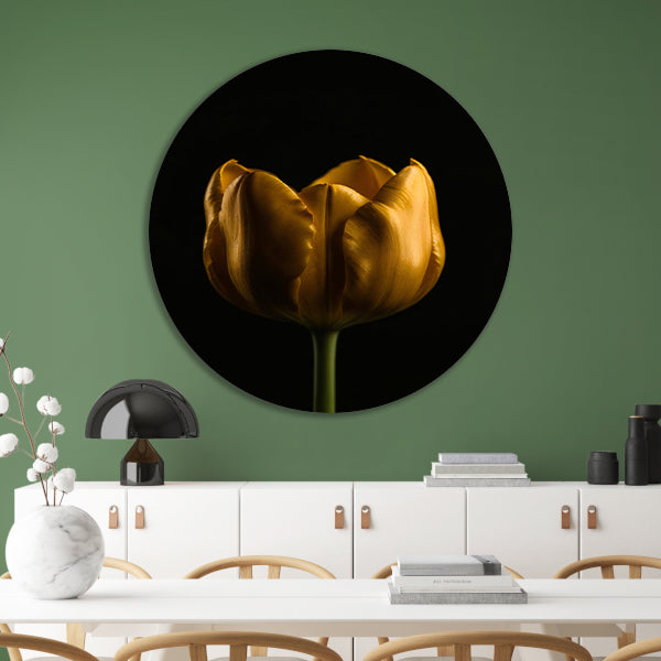 Elegante Gouden Tulp tegen Diepzwarte Achtergrond aluminium muurcirkel