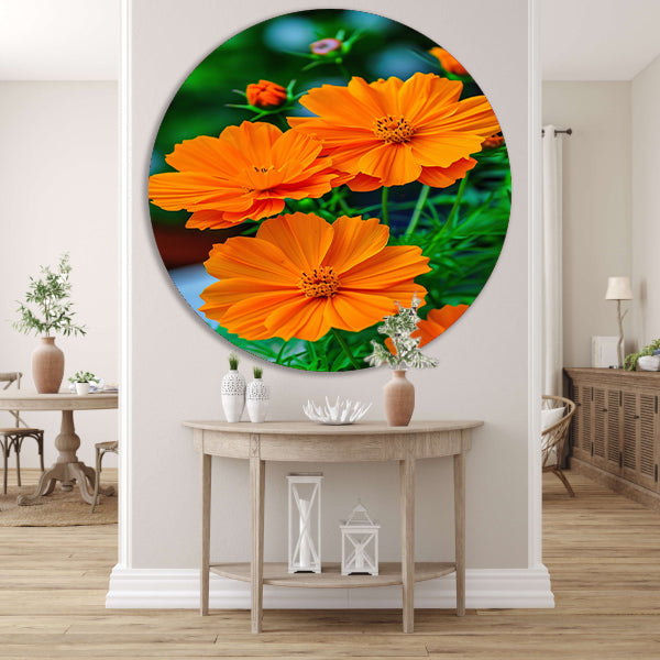 Close-up van Oranje Bloemen in volle Bloei forex muurcirkel