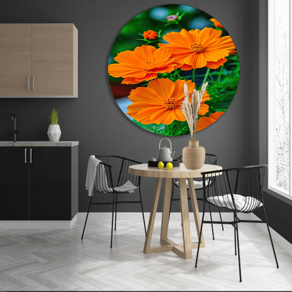 Close-up van Oranje Bloemen in volle Bloei forex muurcirkel