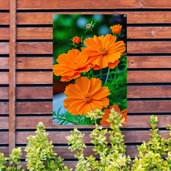 Close-up van Oranje Bloemen in volle Bloei tuinposter