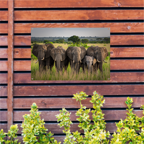 De Stille Kracht van de Natuur tuinposter