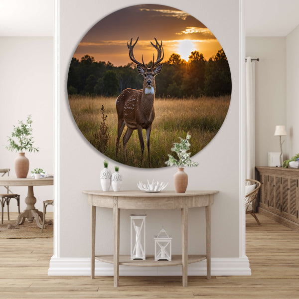 Prachtig hert bij zonsondergang in de natuur aluminium muurcirkel