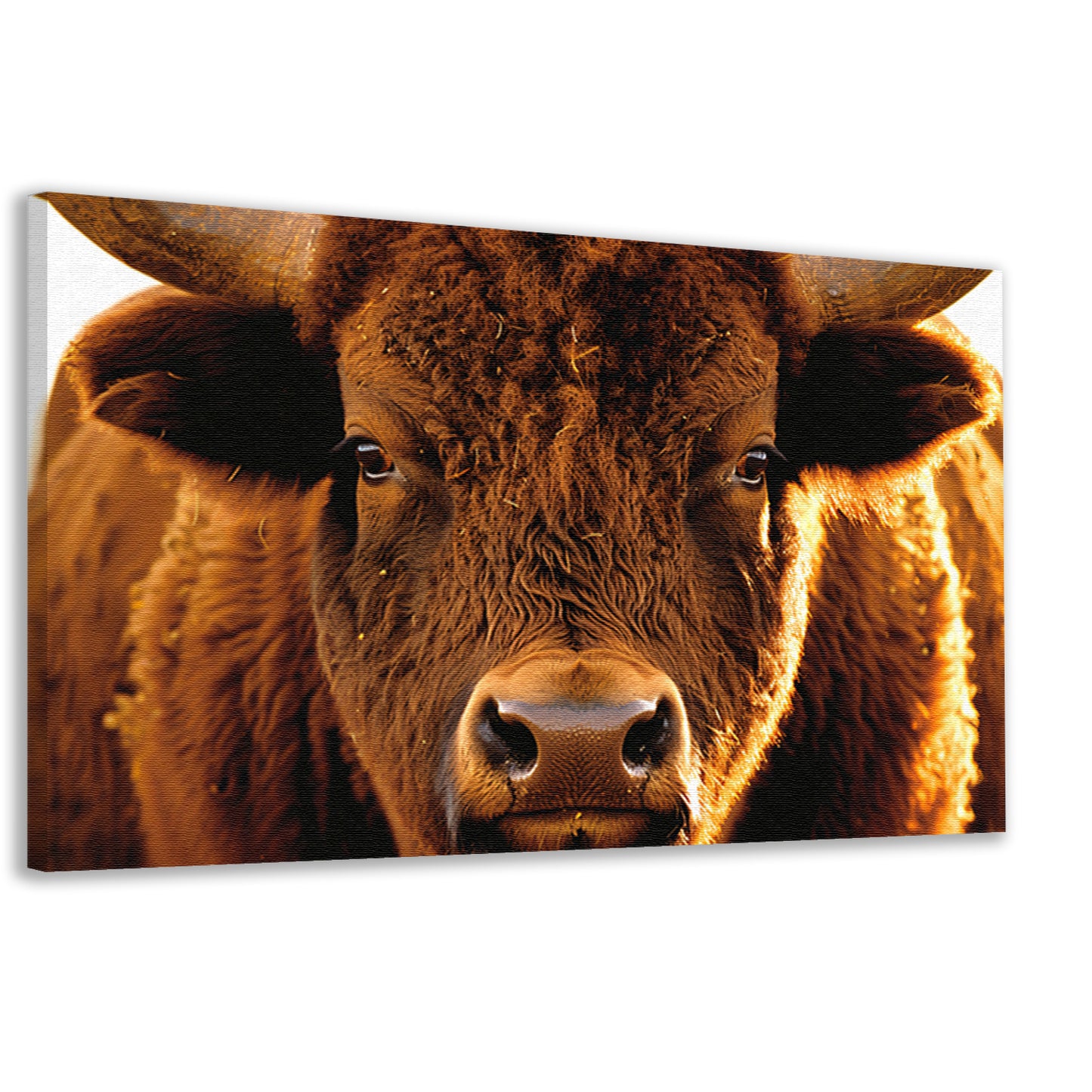 Close-up portret van een majestueuze bison canvas