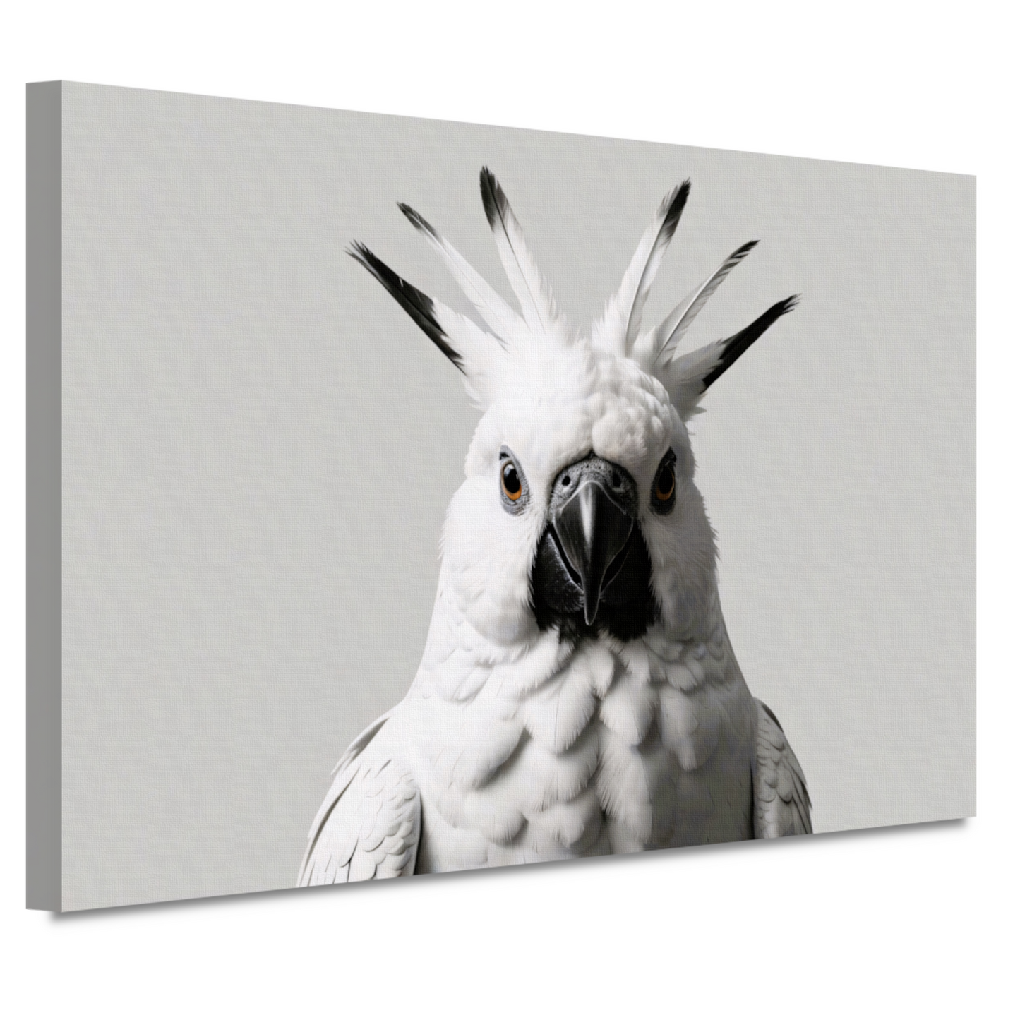 Close-up van een witte kaketoe met details canvas