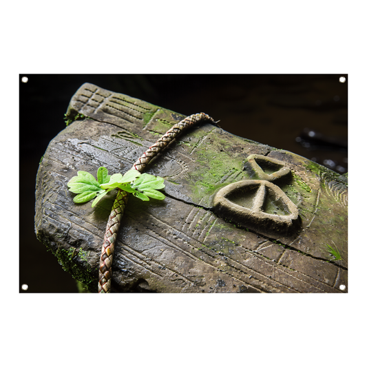 Plant groeit uit holle boomstam tuinposter