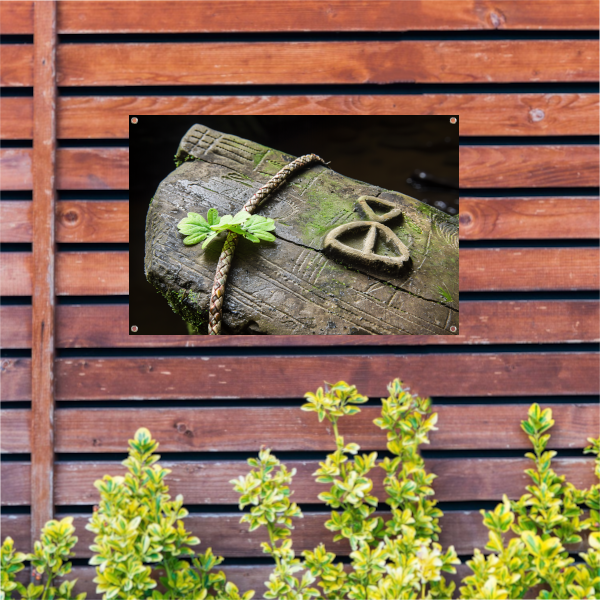 Plant groeit uit holle boomstam tuinposter