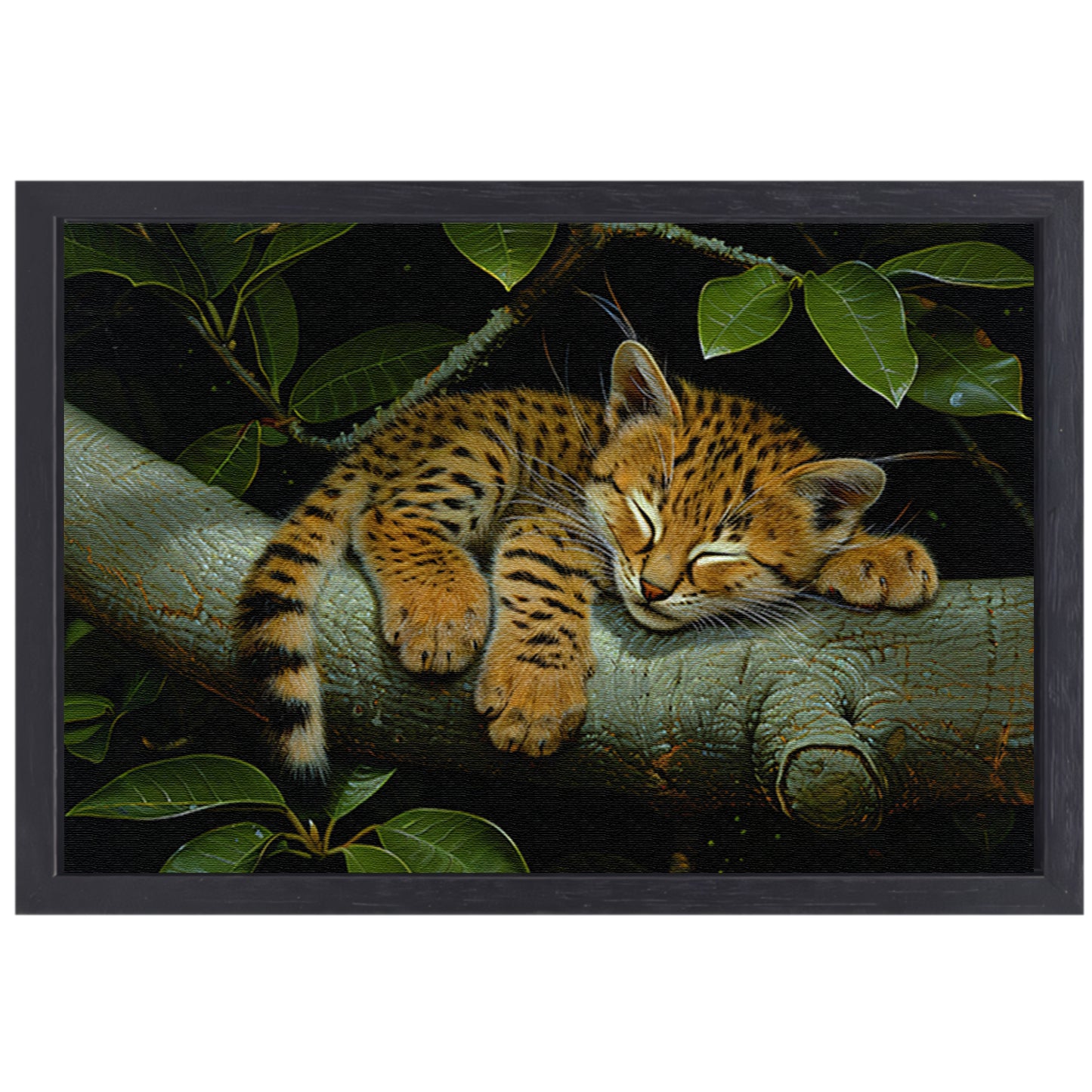 Slapende wilde kat op boomtak canvas met baklijst