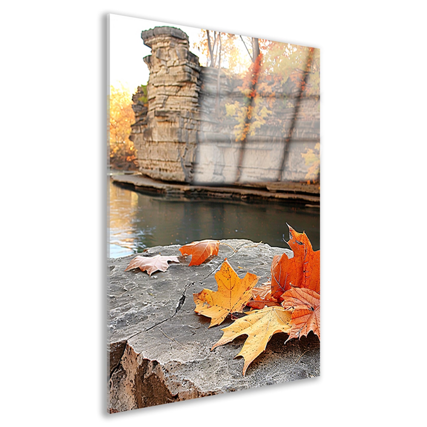 Herfstbladeren langs de rivier bij rotsen acrylglas