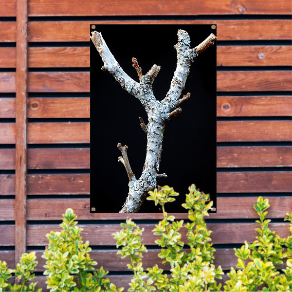 Zwart-wit foto van tak met korstmos tuinposter