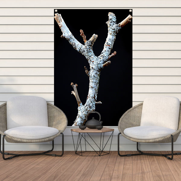 Zwart-wit foto van tak met korstmos tuinposter