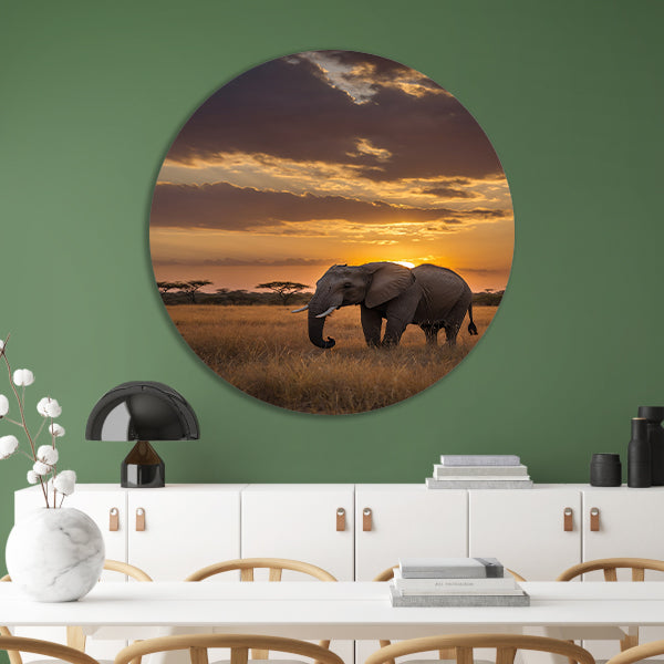 Majestueuze olifant bij Afrikaanse zonsondergang forex muurcirkel