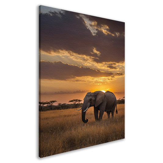 Majestueuze olifant bij Afrikaanse zonsondergang canvas