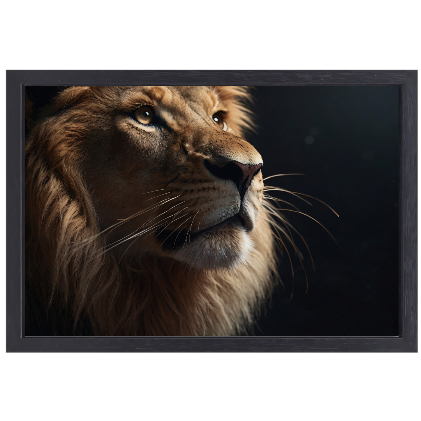 Gouden Blik van de Koning der Dieren canvas met baklijst