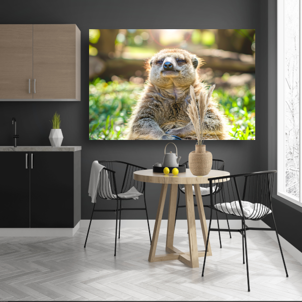 Luiaard genietend van zon in natuur canvas