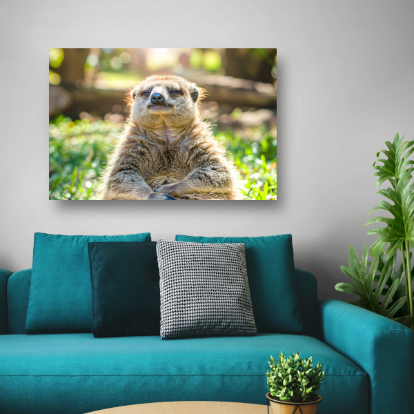 Luiaard genietend van zon in natuur canvas
