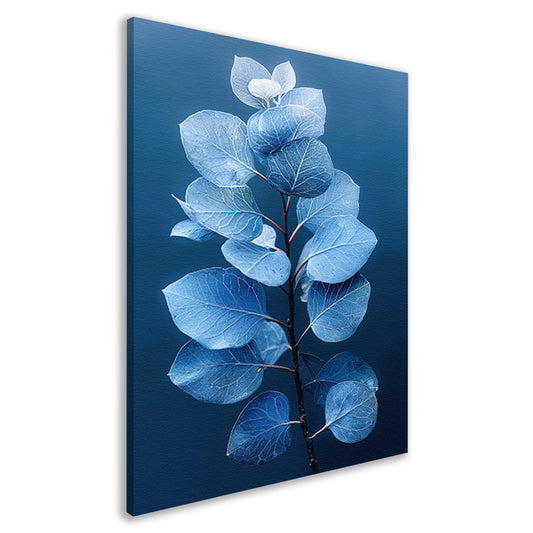 Blauwe eucalyptusbladeren tegen een zwarte achtergrond canvas