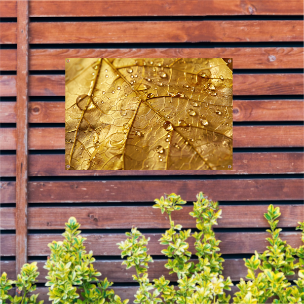 Gouden herfstblad met dauwdruppels close-up tuinposter
