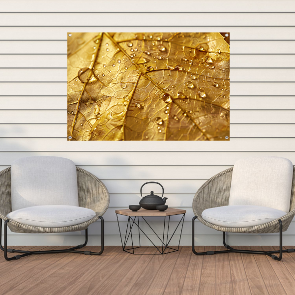 Gouden herfstblad met dauwdruppels close-up tuinposter