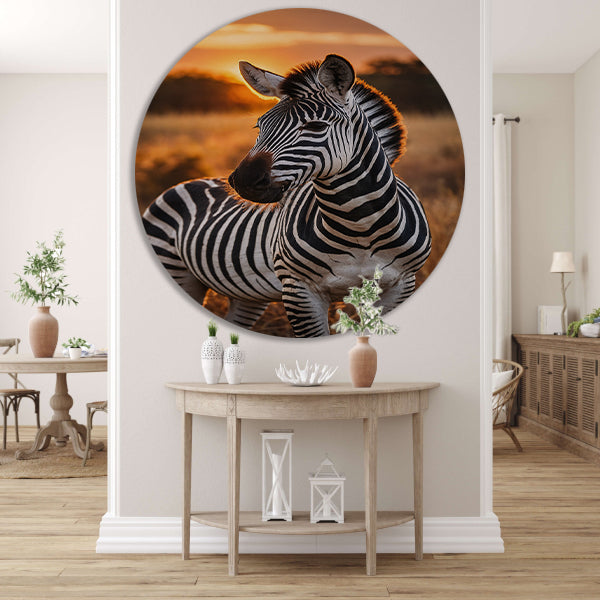 Zebra bij zonsondergang in savanne forex muurcirkel