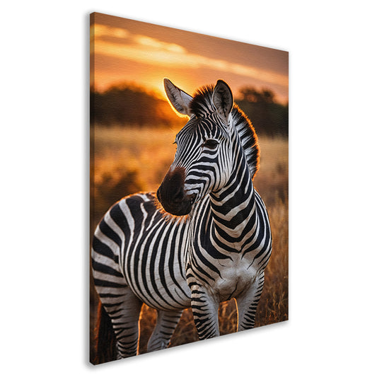 Zebra bij zonsondergang in savanne canvas