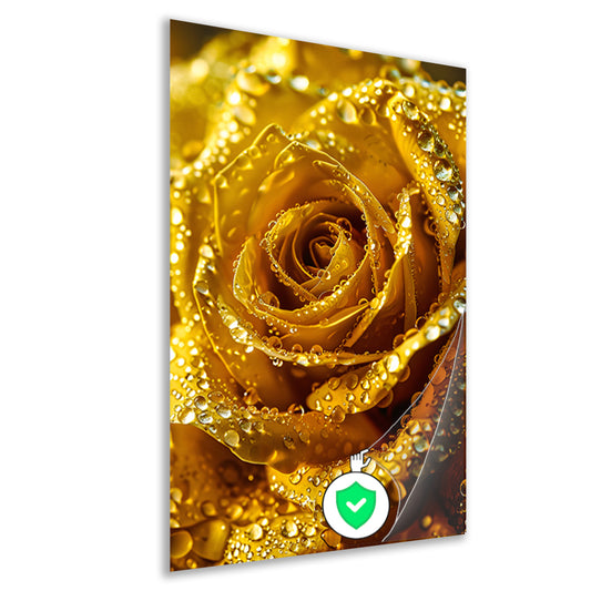 Gouden roos met schitterende waterdruppels in detail poster