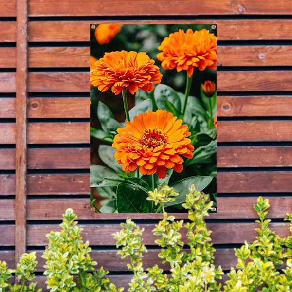 Oranje bloemen in bloei tuinposter