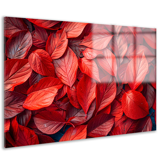 Close-up van Dieprode Herfstbladeren acrylglas