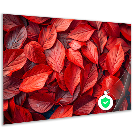 Close-up van Dieprode Herfstbladeren poster