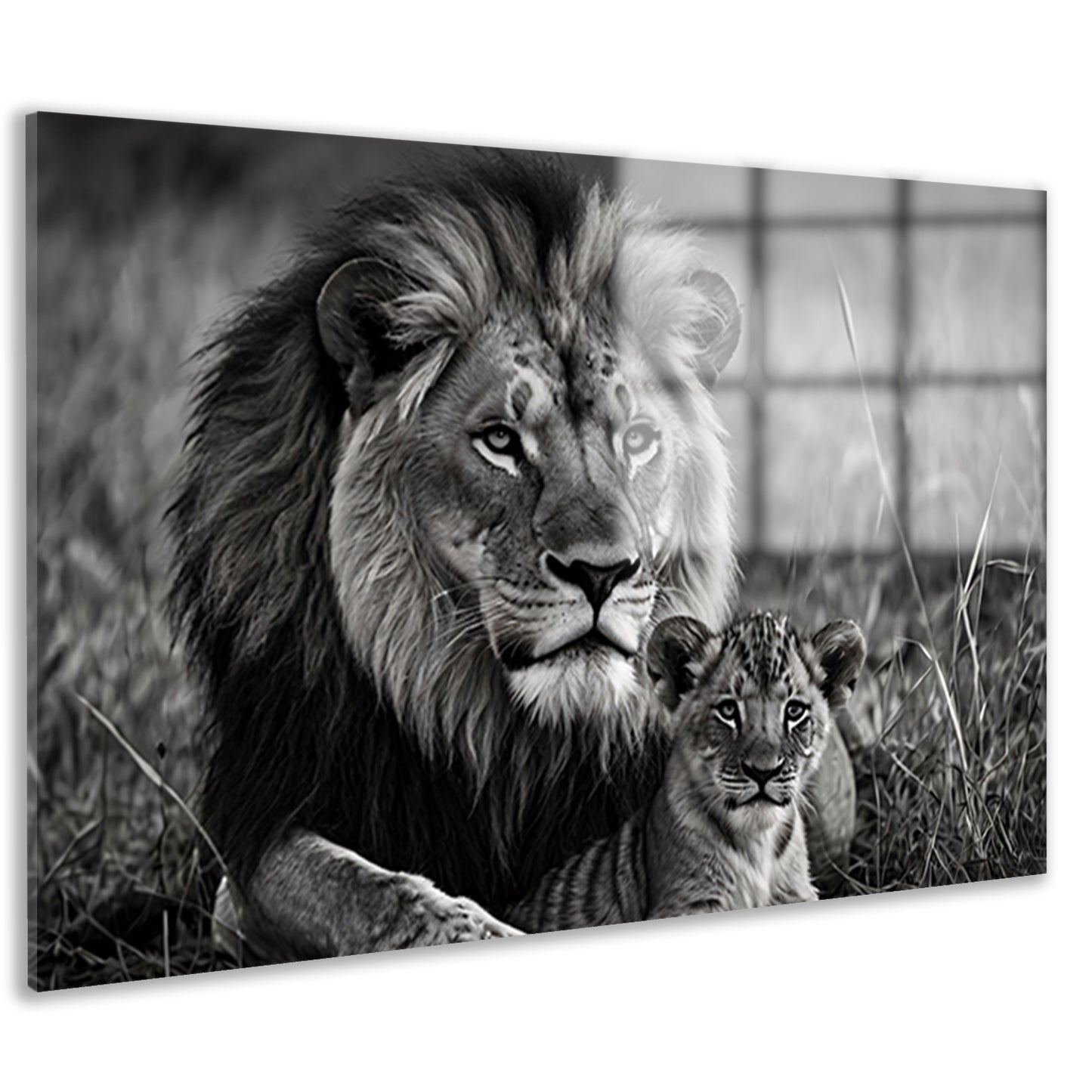 Majestueuze leeuwin met haar welp in zwart-wit acrylglas