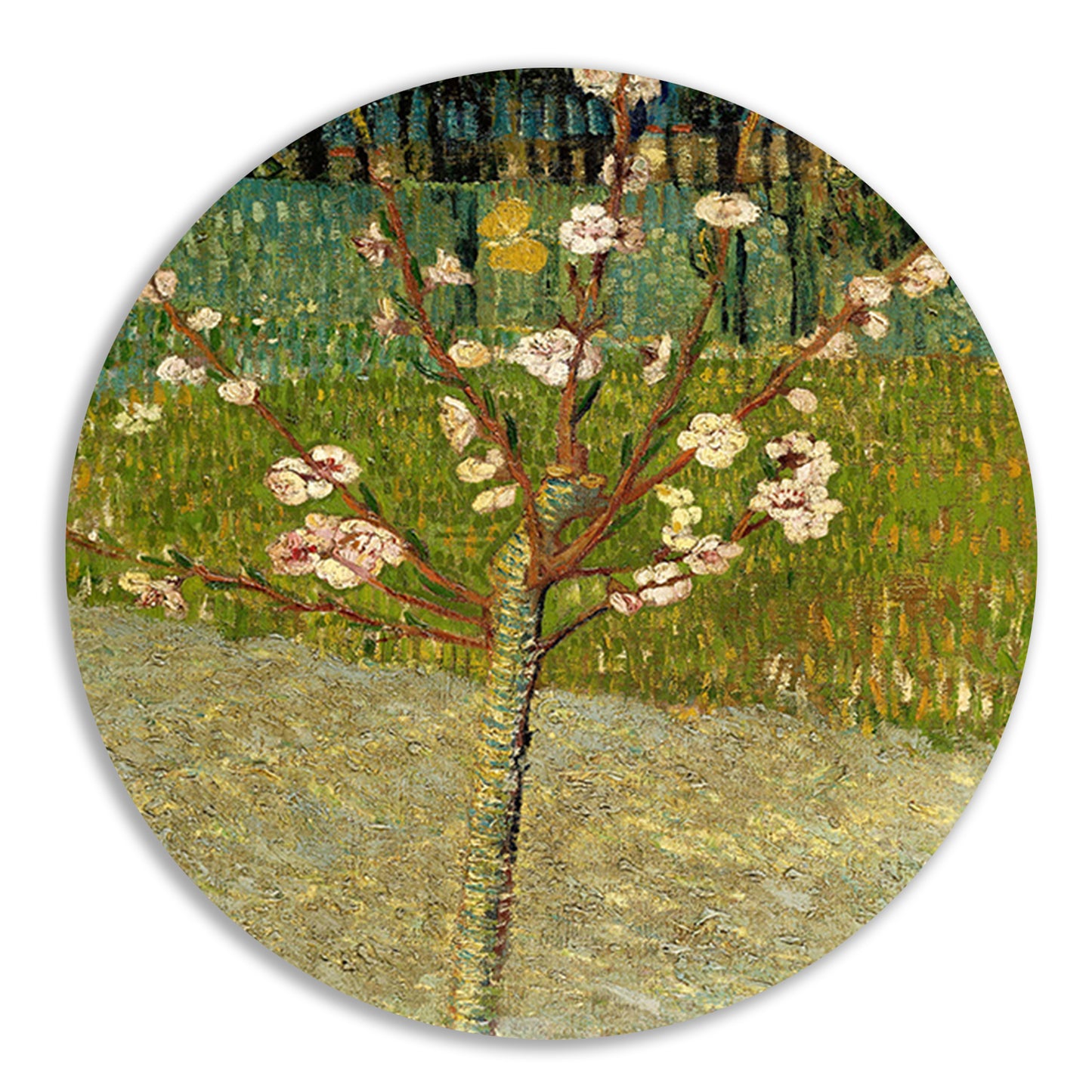 Amandelboom in bloei - Vincent van Gogh aluminium muurcirkel