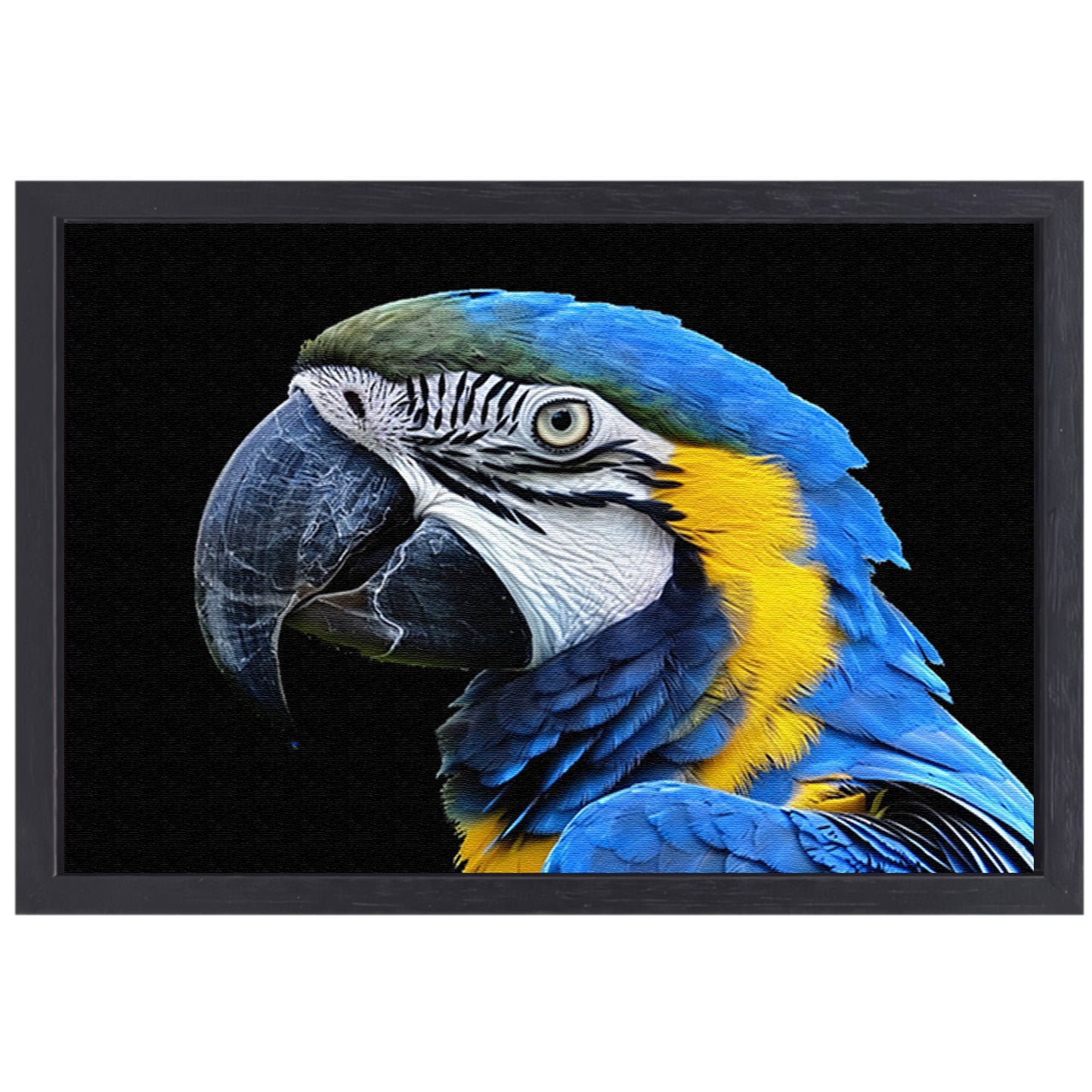 Realistisch schilderij van kleurrijke papegaai canvas met baklijst