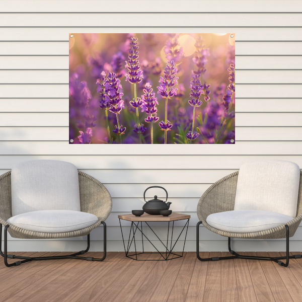 Betoverende zonsondergang over een lavendelveld tuinposter