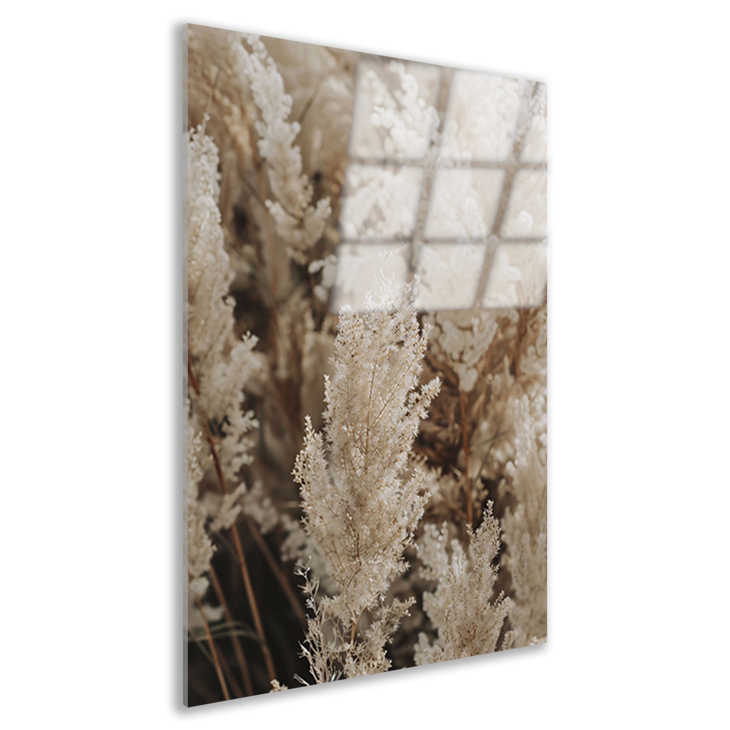 Beige pluimen dansen in de wind acrylglas