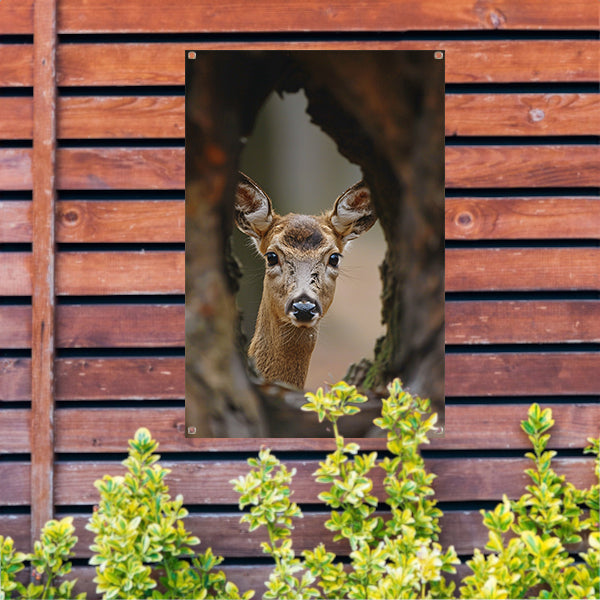 Ree kijkt door boomopening tuinposter
