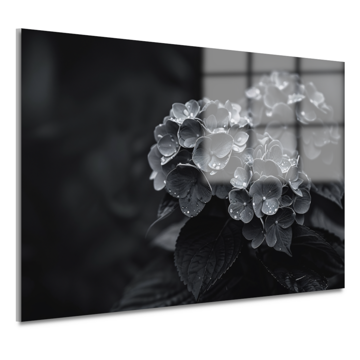 Hydrangeas in Vaas acrylglas
