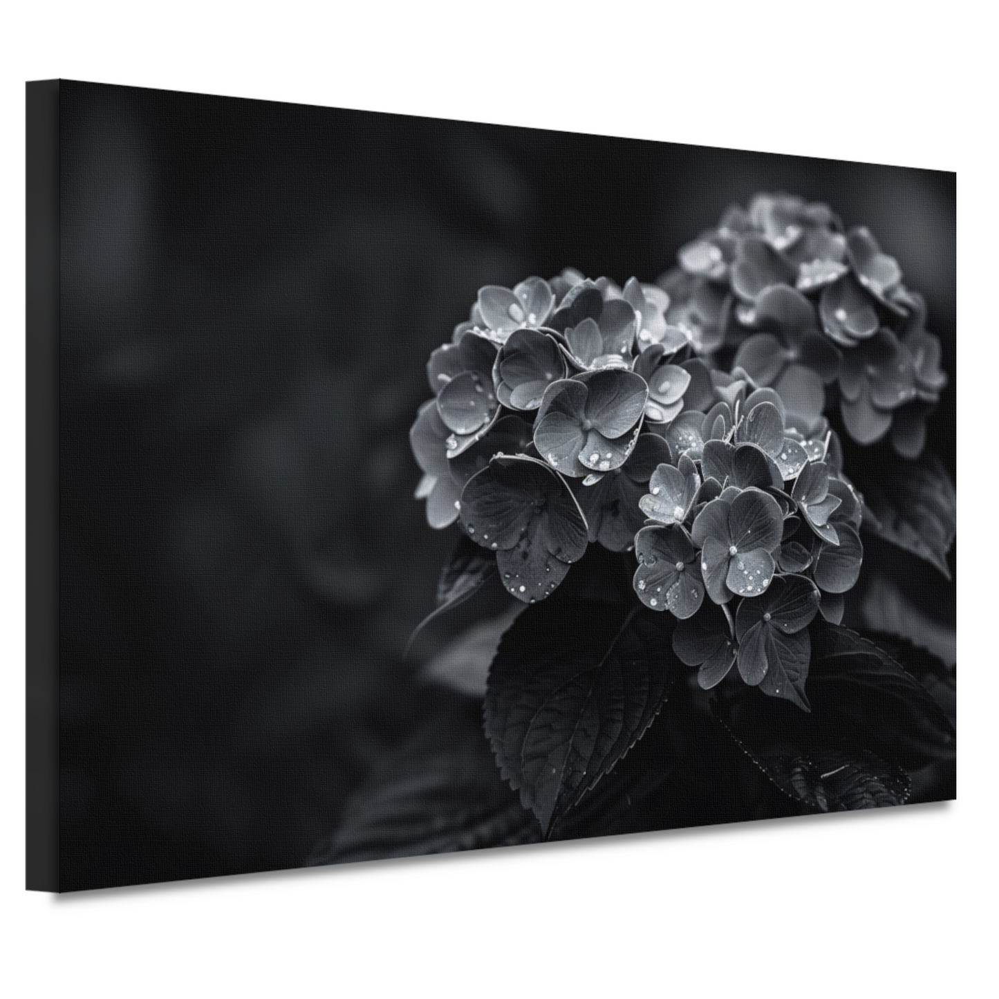 Hydrangeas in Vaas canvas